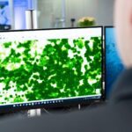 UAV-unterstützte Wiederaufforstung – punktgenau, effizient und geländeschonend